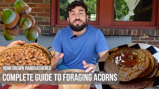 How to Sustainably Forage and Cook Acorns Acorn Flour Pancakes [upl. by Ymaj]