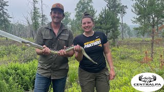 Taking FirstTimers Rattlesnake Hunting in PA  2023 Season [upl. by Dobson]