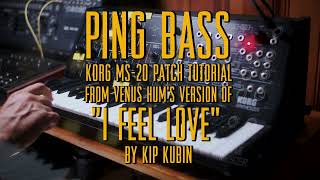 Ping Bass  KORG MS20 PatchTutorial [upl. by Nonad]