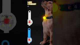 LED Waterproof Safety Collar happytailcenter cat dogbed [upl. by Halas]