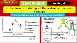 Le rôle du muscle strié squelettique dans la conversion dénergie 2 bac pc option Français [upl. by Lolly]