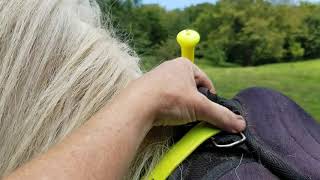 Cashel G2 treeless saddle review [upl. by Sauveur]