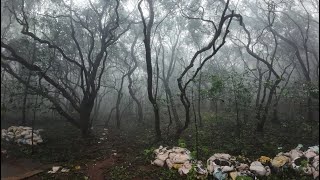 Best of Matheran in Monsoon 04 Aug 2024 [upl. by Karmen]