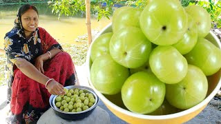 সর্দি কাশি গ্যাস অম্বল দূর করতে আমলকী এইভাবে একবার খেয়ে দেখুন দারুন উপকার পাবেন  amla recipe [upl. by Dove]