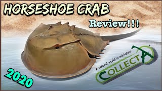 2020 Collecta Horseshoe Crab Review [upl. by Carisa]