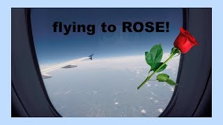 Traveling to the ROSE Doll Show 2017 [upl. by Husch]