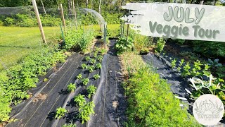 Wisconsin Vegetable Garden Tour  Early July Veggies [upl. by Westfall]