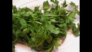 Parsley 101About and Health Benefits [upl. by Ihpen468]