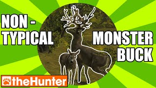 NonTypical MONSTER BUCK  theHunter Classic [upl. by Yadrahs]