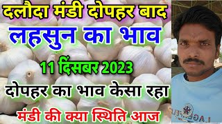 दलोदा मंडी दोपहर बाद का लहसुन का भाव 11 दिसंबर 2023 fresh garlic rate today aaj ka lahsun ka bhav [upl. by Atiuqet]