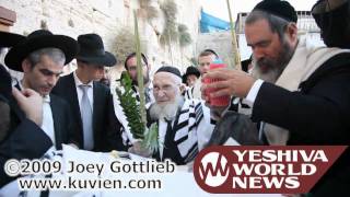 HaRav Chaim Pinchas Scheinberg bentching Lulav and Esrog at the Kosel [upl. by Piane]