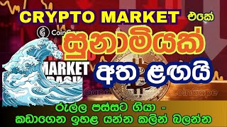 Crypto Market ඒකේ සුනාමියක් අත ළඟයි  පසුපසට ආපු මාකට් උඩ යන්න ආසන්නයි [upl. by Pardo413]