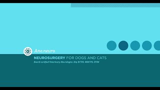 Neurologia veterinaria preguntas en Vivo [upl. by Kezer256]