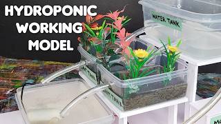 hydroponic farming working model  science exhibition [upl. by Lona376]