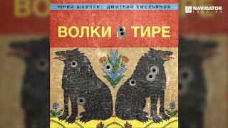 Юрий Шевчук Дмитрий Емельянов – Волки в тире Аудио [upl. by Aikem]