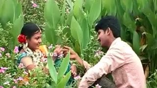 Anitha Padina Paata Female  Telugu Folk song [upl. by Nyleuqcaj486]