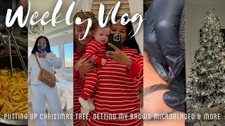 Weekly Vlog  Putting Up Christmas Tree Getting Brows Microbladed Ranting amp More  Arnell Armon [upl. by Anirbas62]