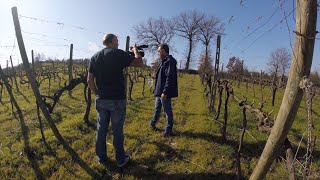 Tempranillo da Toscana  Reportagem completa [upl. by Etiam]