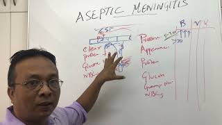 Aseptic Meningitis and CSF analysis [upl. by Vic]