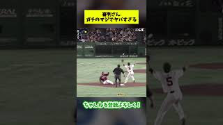 【プロ野球珍プレー】審判さんガチのマジでヤバすぎるジャッジをしてしまう【なんJ反応集】shorts プロ野球 [upl. by Dimitris]