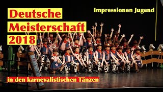 Deutsche Meisterschaft im Karnevalistischen Tanzsport 2018  Jugend Interviews und Impressionen [upl. by Phox]