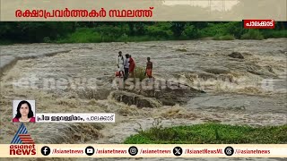 പാലക്കാട് ചിറ്റൂർ പുഴയിൽ കുടുങ്ങിയ നാല് പേരിൽ ഒരാളെ രക്ഷപെടുത്തി  Chittur River  Palakkad [upl. by Eidur14]