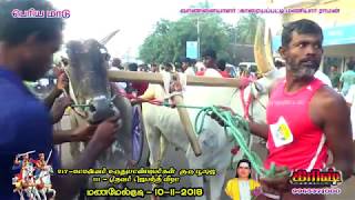 பெரிய மாடு மணமேல்குடி 10112018 mattu vandi panthayam Manamelkudi rekla race [upl. by Emery]