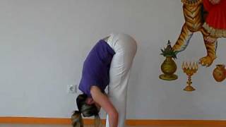 Yoga Sonnengruß  langsam und exakt [upl. by Sileas]