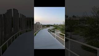 Khor kalba mangrove Centre part1 youtubeshorts [upl. by Sternberg]