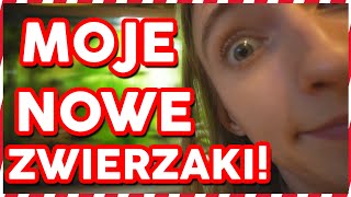 MOJE NOWE ZWIERZAKI 🎄 VLOGMAS 1218 🎄 [upl. by Chas]