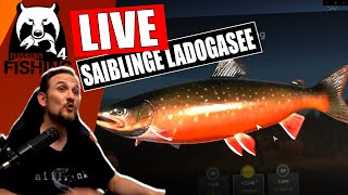 Russian Fishing 4  Livestream  Ladogasee Saiblinge [upl. by Cain416]