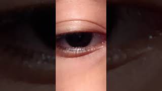 I like to make eye contact videos eyeseyelashes [upl. by Shewmaker841]