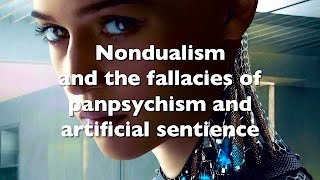 Nondualism and the fallacies of panpsychism and artificial sentience [upl. by Abraham976]