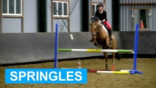 Jumping lesson  FAIL  felinehoi [upl. by Winn]