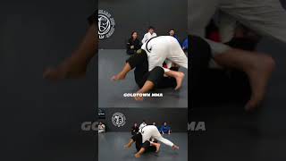 Slick BJJ Passing x Lucas Lepri 🥋 [upl. by Nosmirc]