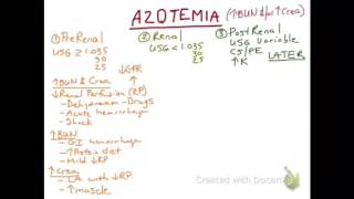 Azotemia [upl. by Eliath424]