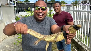 🐊 🐊Visitamos los Hermanos Caza Caimanes De Carolina PR 🐊🐊🇵🇷 [upl. by Hodess]