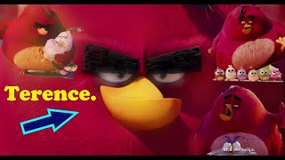 Angry Birds Toons Plush Version  Season 1 Ep 29  quotNighty Night Terencequot [upl. by Warrick593]