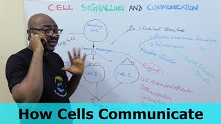 How Cells Communicate – Part 2 [upl. by Tirrell]