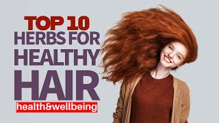 Top 10 Herbs for Healthy Hair [upl. by Dronel]