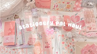 stationery pal haul  back to school stationery haul 2023 [upl. by Alleinad815]