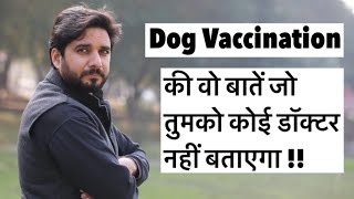 Dog vaccination explained in details  all if and buts of dog vaccination [upl. by Atiuqrehs721]