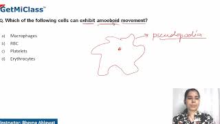 Amoeboid movement [upl. by Annadal]