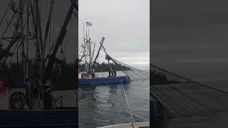 Our First Day Salmon Fishing Purse Seine Fishing in Alaska [upl. by Asilram]