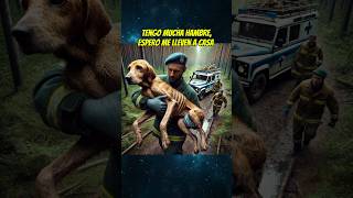 hay que salvar a los perritos en problemas 🫂✨ shortsviral perros [upl. by Nosniv826]