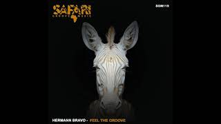 Hermann Bravo  Do It Right Original Mix SAFARI GROOVE MUSIC [upl. by Web]