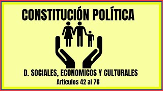 DERECHOS SOCIALES ECONOMICOS Y CULTURALES  Constitución de Colombia  Normas sintetizadas [upl. by Simsar382]