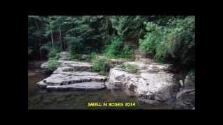 Dismal Creek and Walnut Flats in Giles County Virginia [upl. by Yacov337]