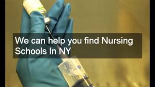 topnursing schools in Buffalo NY4288645278878351accredited nursing schools in Buffalo NY [upl. by Ecirtahs]