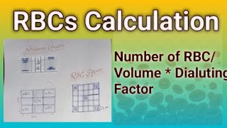 RBCs Calculation Formula hematology microscope dmlt Bsmlt [upl. by Blau]